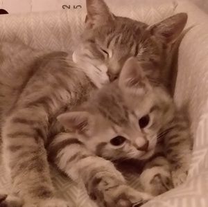 Meet your Posher, Holly